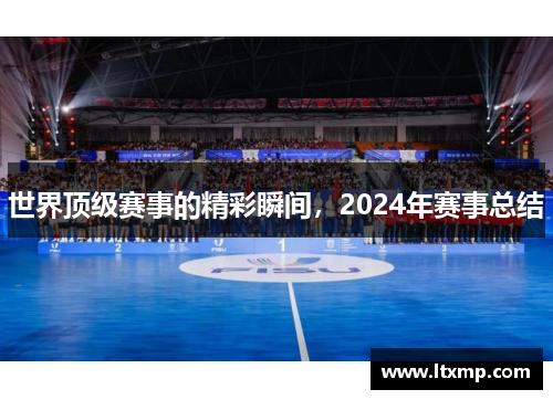世界顶级赛事的精彩瞬间，2024年赛事总结