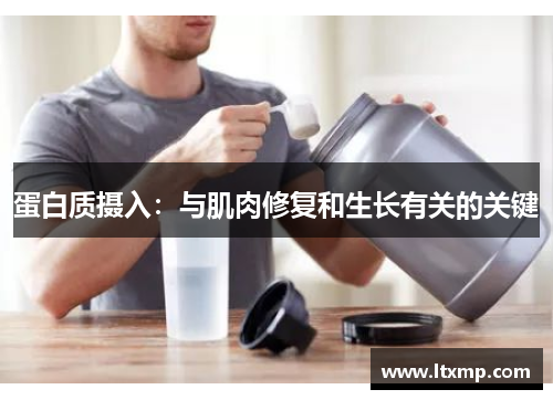 蛋白质摄入：与肌肉修复和生长有关的关键